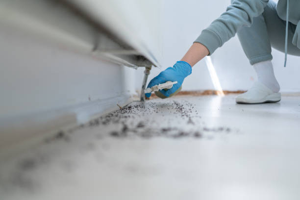 Best Best Pest Control Companies  in Pine Bush, NY